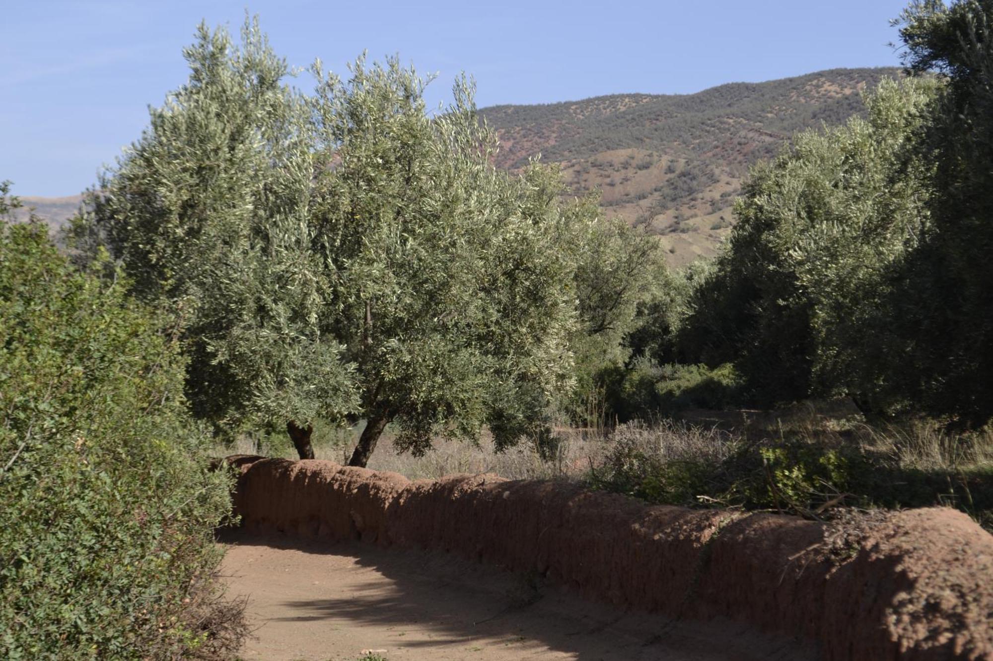 Villa Quince Ouirgane Buitenkant foto